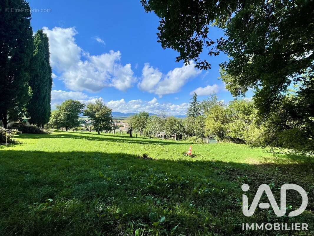 Terrain 1110 m² à Assieu  - photo 4