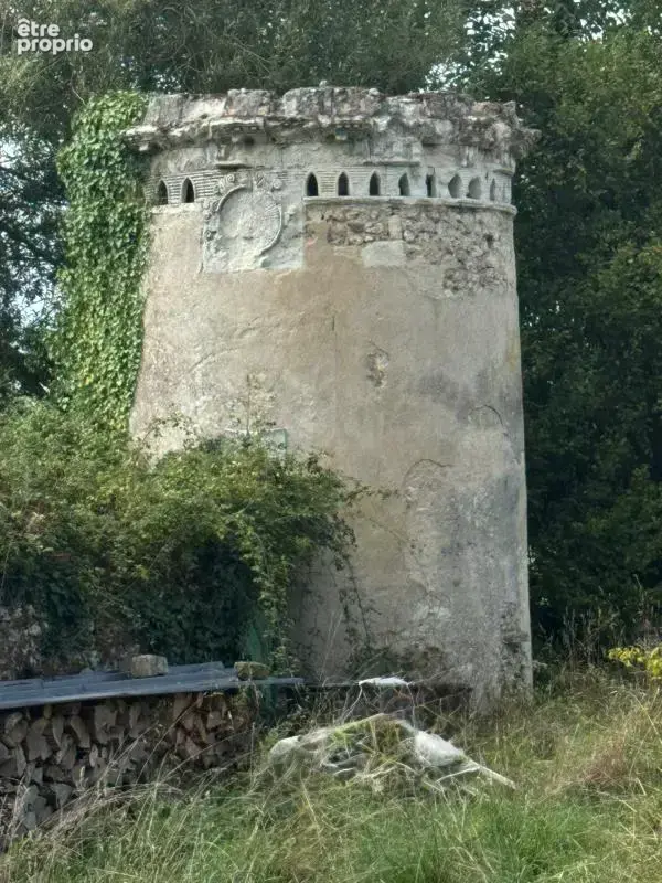 Château de Penchien – Domaine de caractère à réinventer, fort potentiel événementiel et touristique – Mansigné (Sarthe) - photo 6