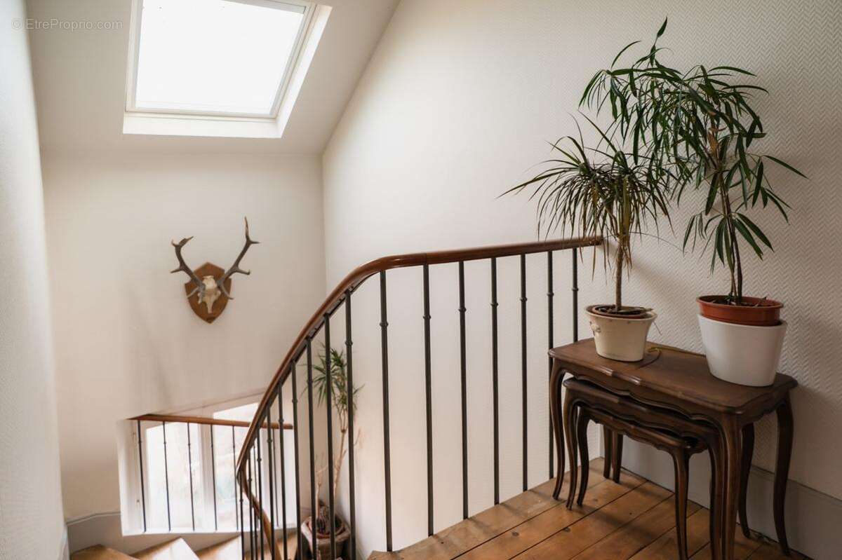 Maison 300 m² à Melun  - photo 19