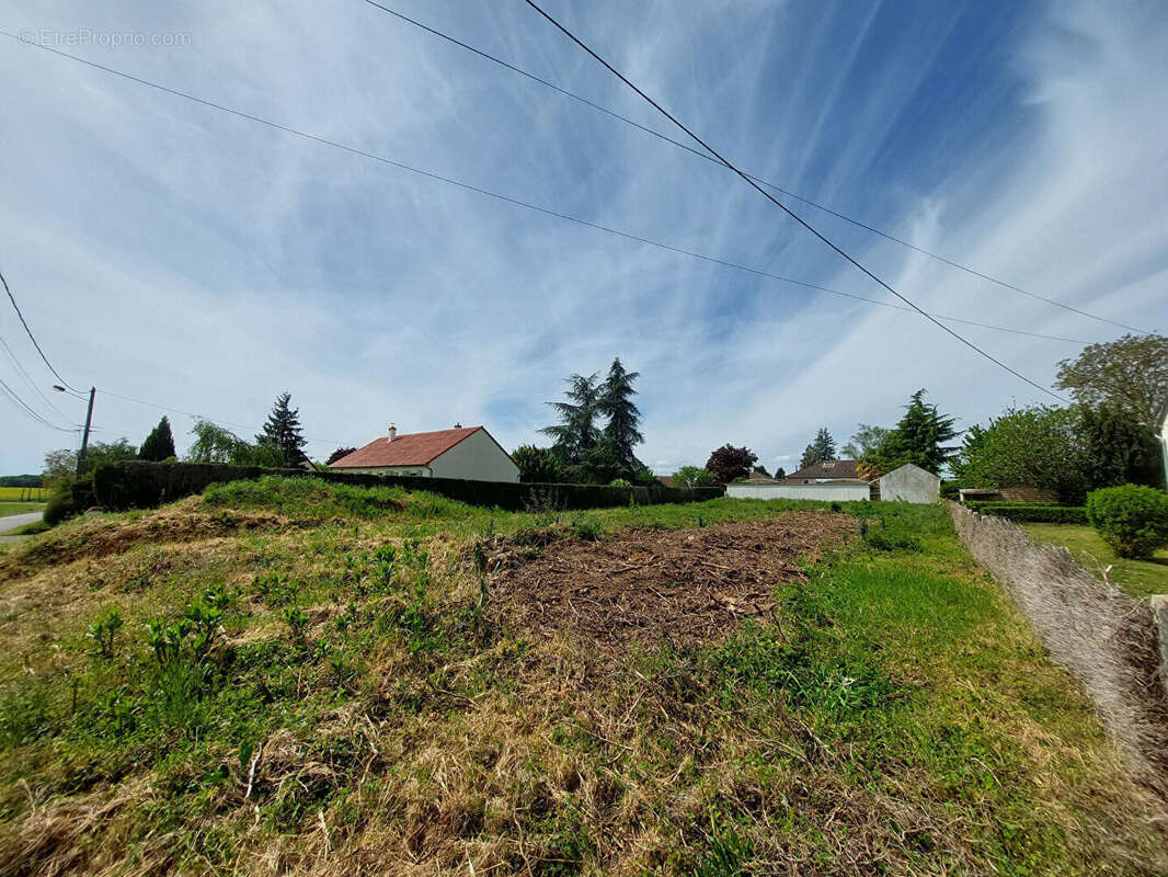 Terrain à LES AIX-D'ANGILLON