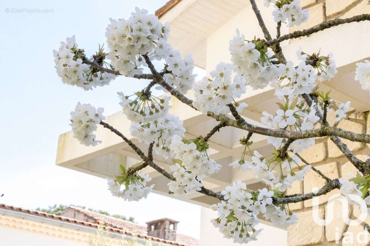 Photo 3 - Maison à ROYAN