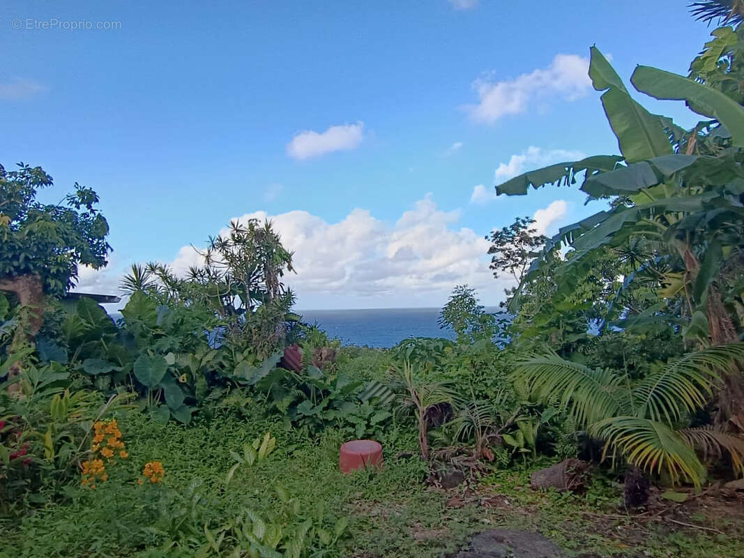 Maison à SAINTE-ROSE