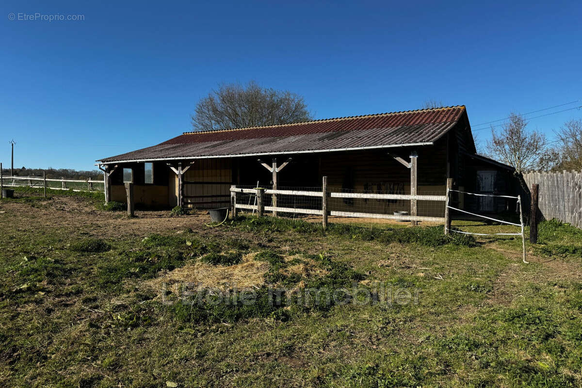Terrain à LA CHAPELLE-MONTLIGEON