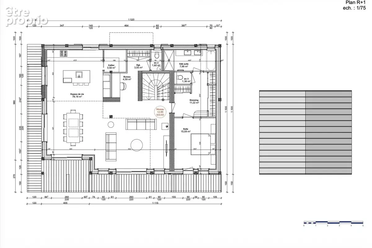 Terrain 1 105 m² à vendre à Saint-Gervais-Les-Bains (74170) - photo 3