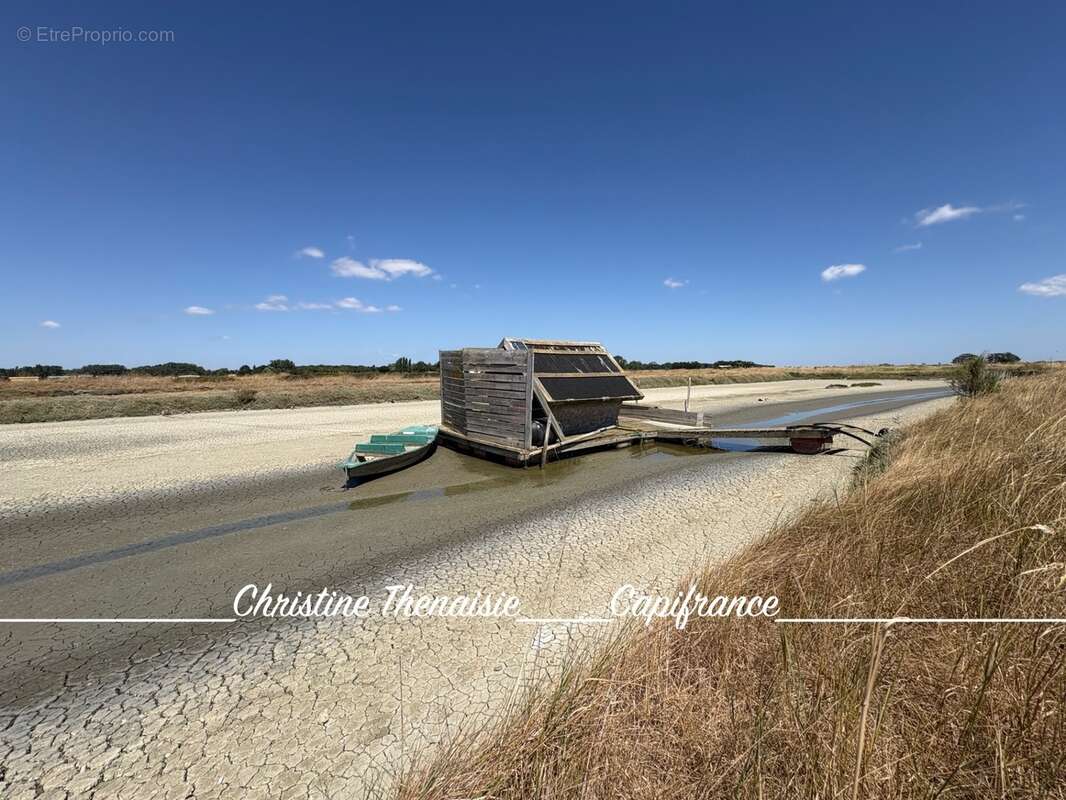 MARAIS avec cabane flottante à vendre Route du Sel à SAINT HILAIRE DE RIEZ (85) - photo 4