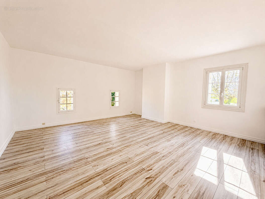 Maison 260m² à les artigues-de-lussac - photo 5