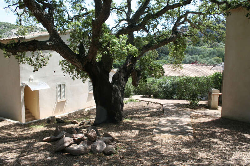 Maison à PORTO-VECCHIO