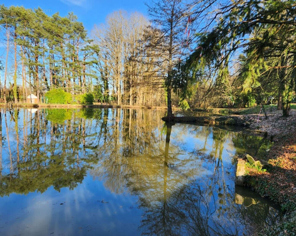Terrain à TIGY