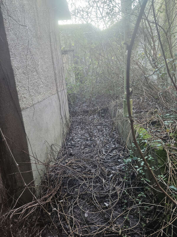 Maison à SAINT-LEGER-MAGNAZEIX