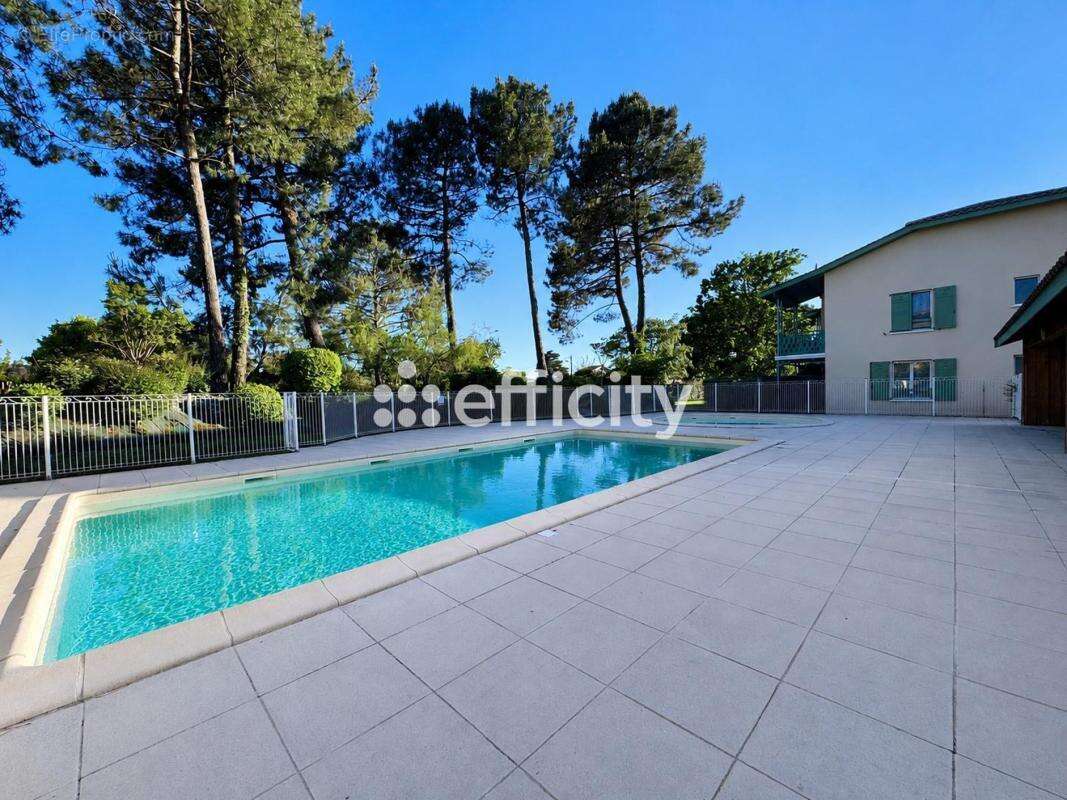 Appartement à AUDENGE