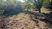 Terrain à CAUSSE-DE-LA-SELLE