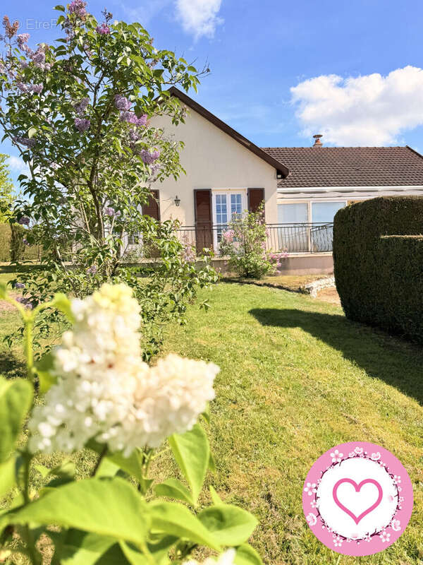 Maison à LES BORDES
