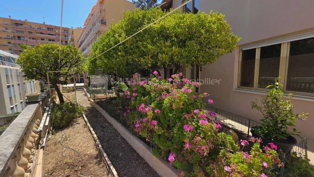 Villa cap d'ail tres calme proche plage et monaco - photo 4