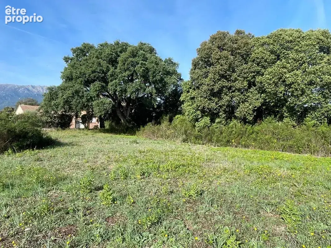 A vendre- Terrain constructible de 900 m2- vue montagnes, Ghisonaccia-Gare - photo 2