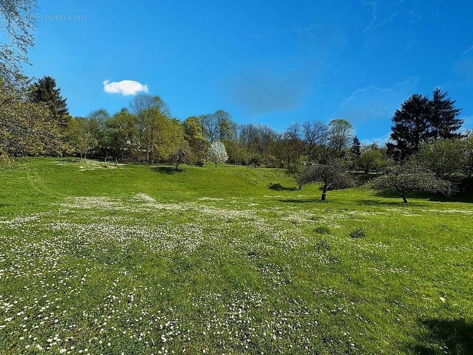 Terrain à BRUMETZ