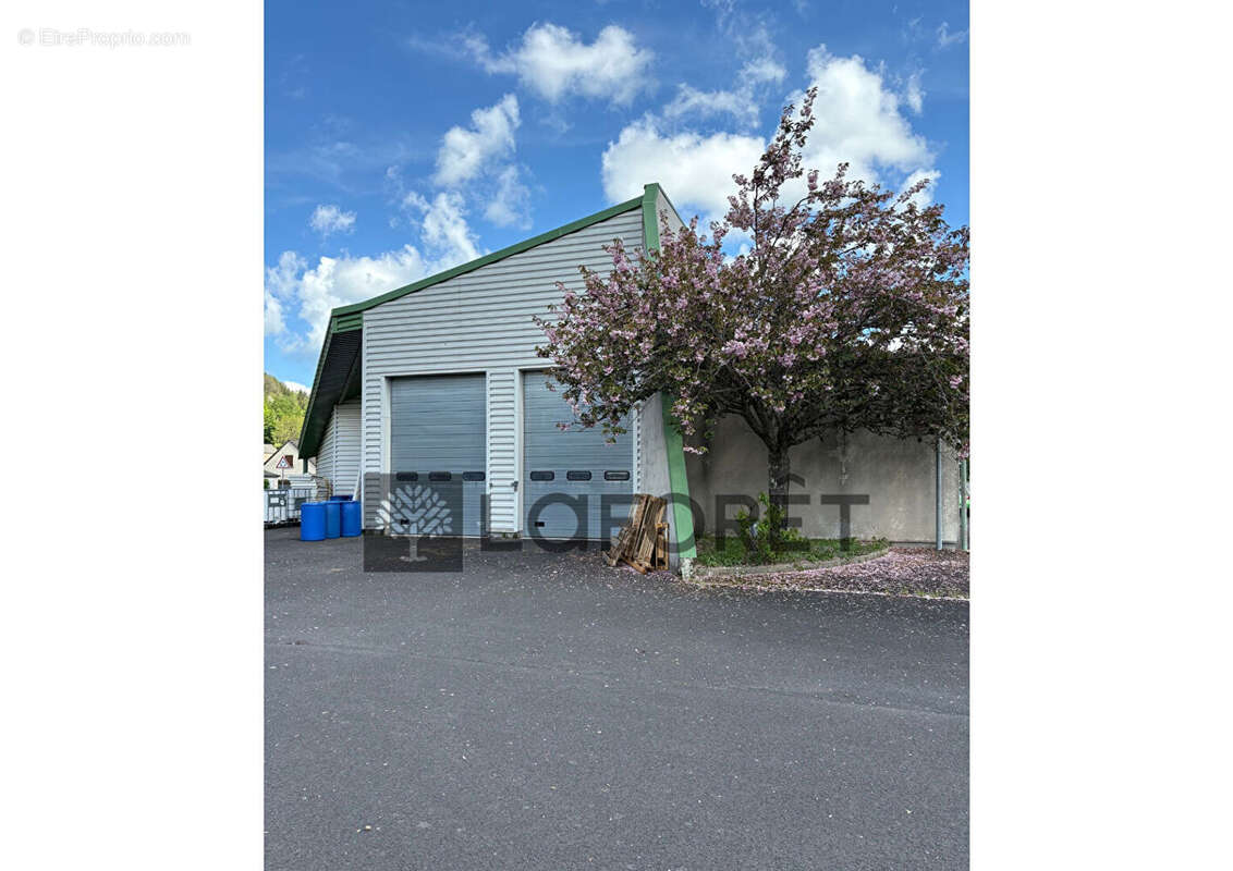 Commerce à RIOM-ES-MONTAGNES