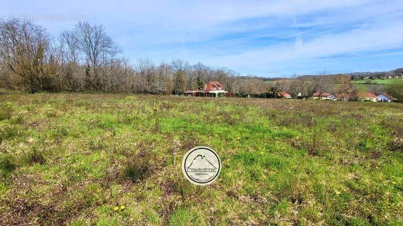 Terrain à vendre de 2 298 m² : espace, calme et potentiel au cœur de Laa-Mondrans - photo 3