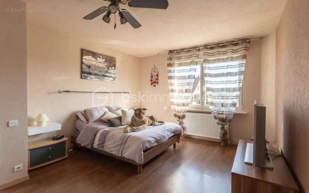 Maison à WITTENHEIM