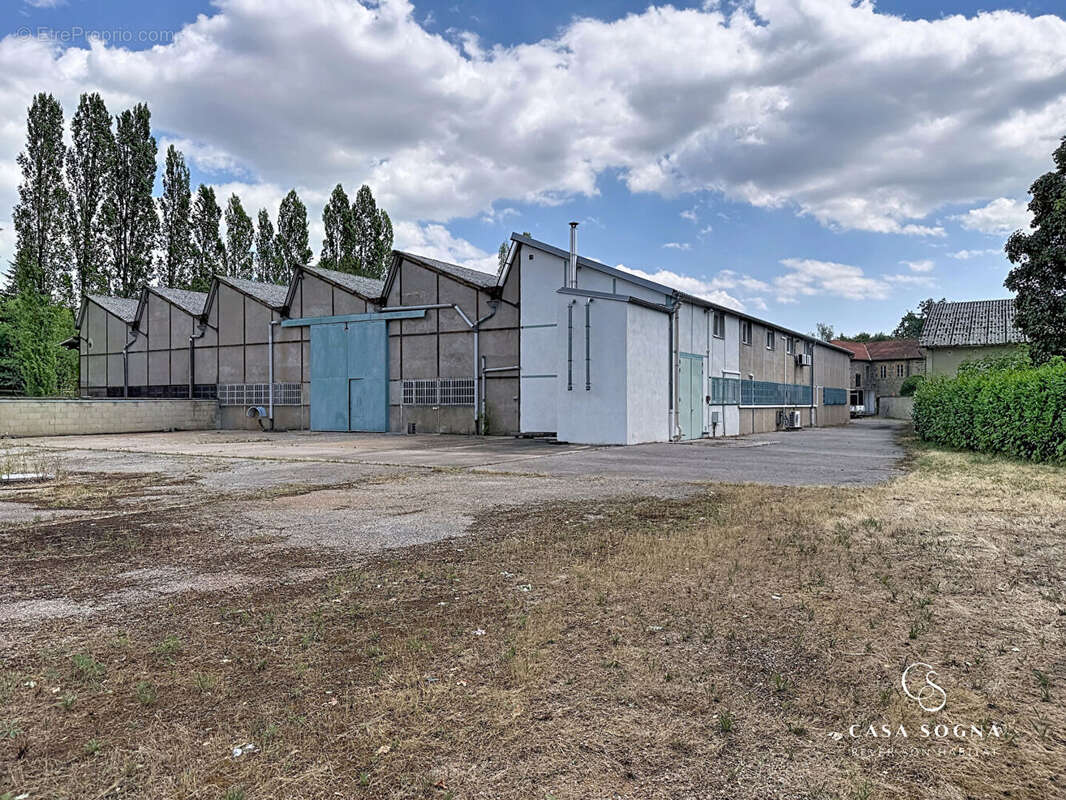 Local d'activité/industriel - 1000 m² - Saint-Étienne-des-Oullières - photo 2