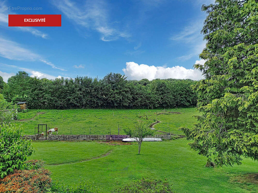 Exclusivité - propriété de caractère sur plus de 6 800 m² à montours (35460) - photo 21