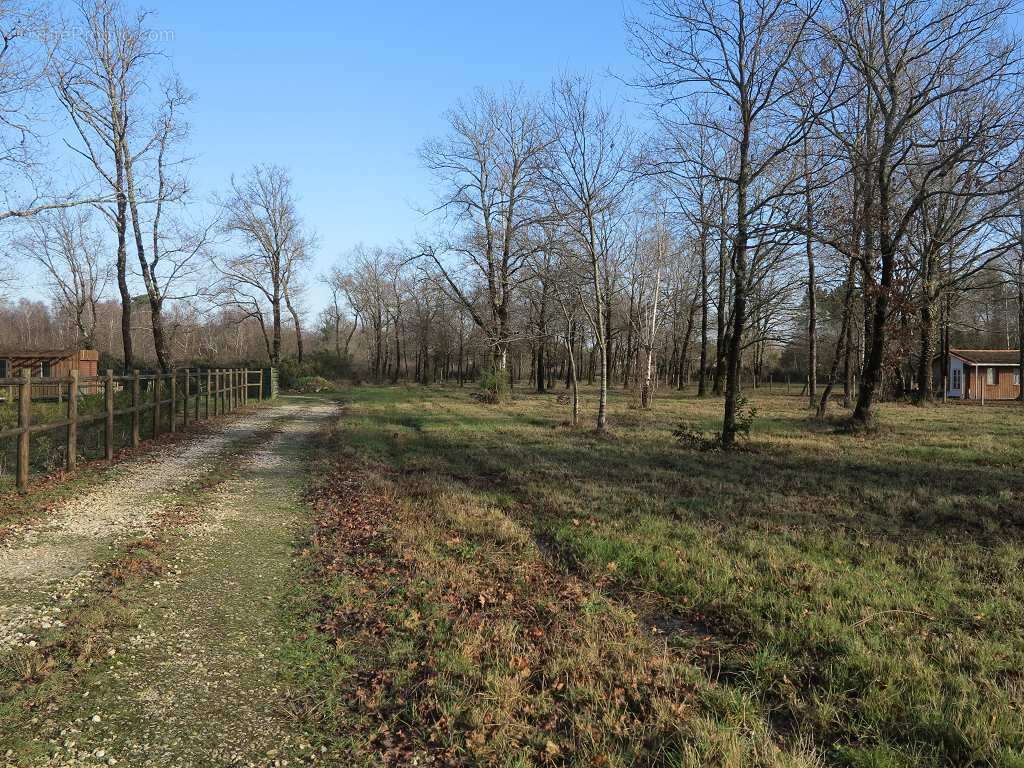 Terrain à SAINT-VIVIEN-DE-MEDOC