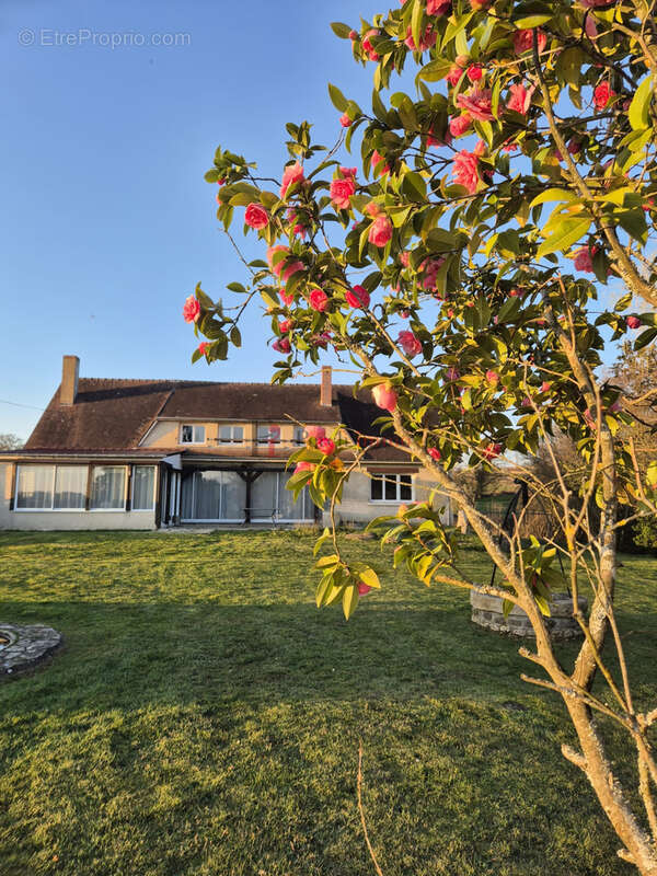 Maison à BONNETABLE
