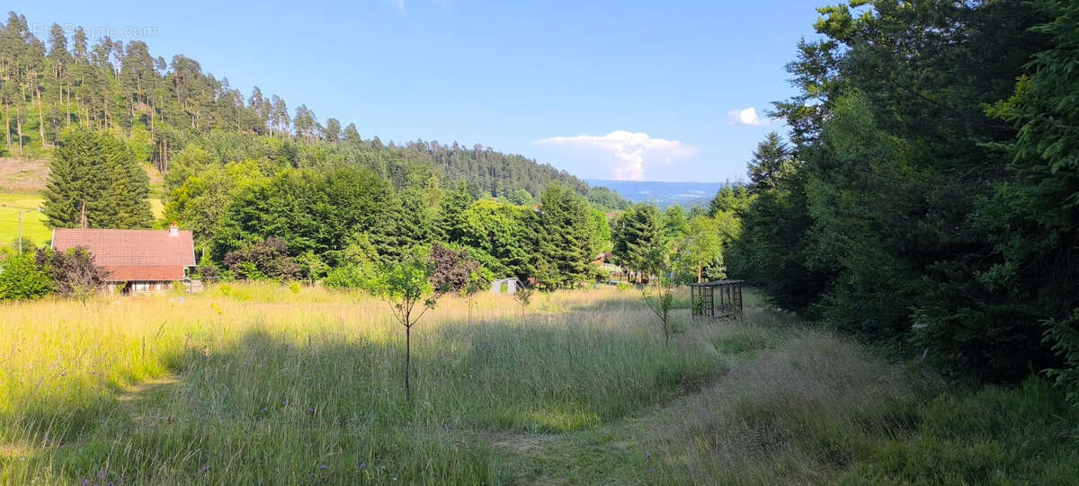 Maison à BIFFONTAINE