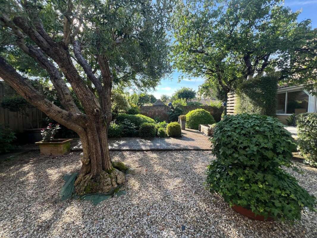 Photo 3 - Maison à TONNEINS