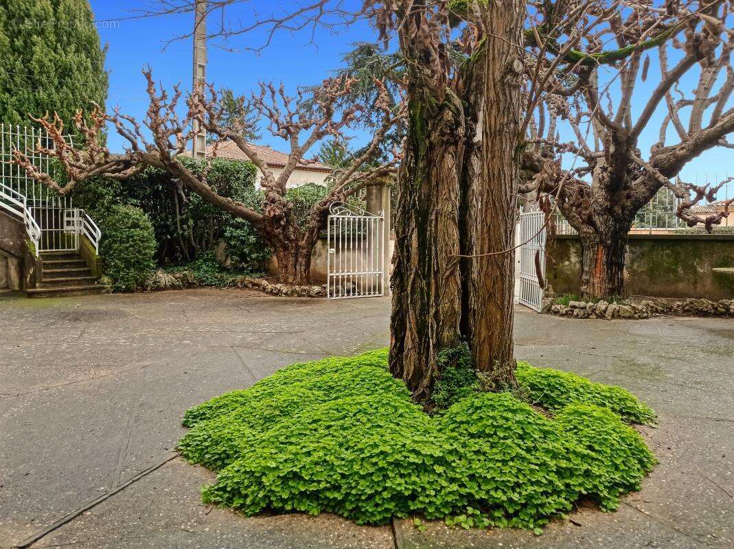 Maison à LAUDUN-L'ARDOISE