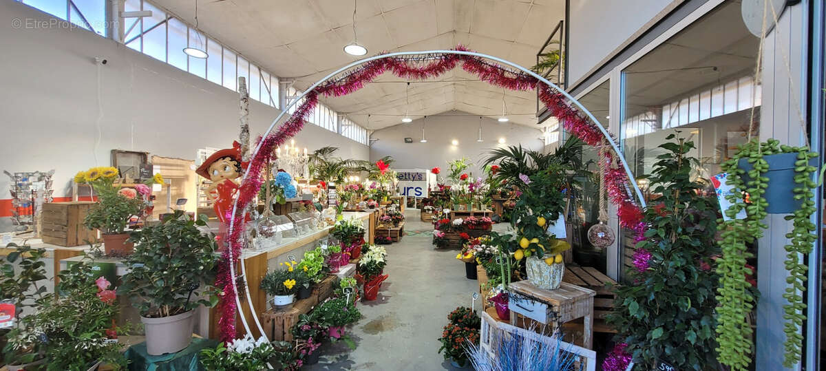 Commerce à CAVAILLON