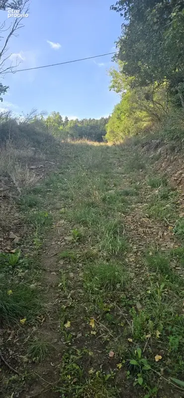 Photo Terrain à Beaux au prix de 44 000€