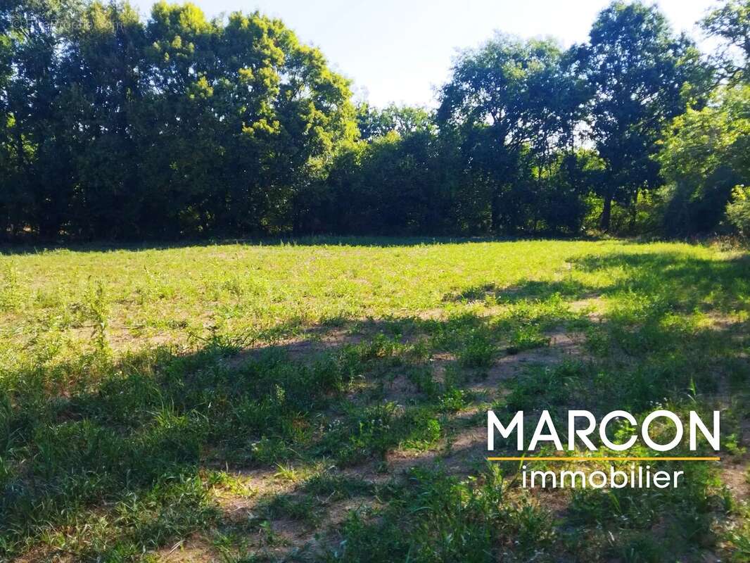 Belle fermette avec 5,2 hectares de terrain - photo 38