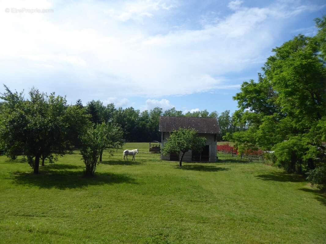 Maison sur grand terrain - photo 2