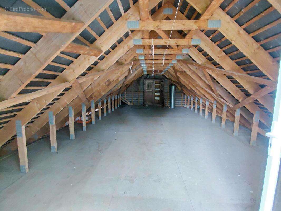 Parc au calme, Nouveauté, Plain pied, 4 chambres - photo 12