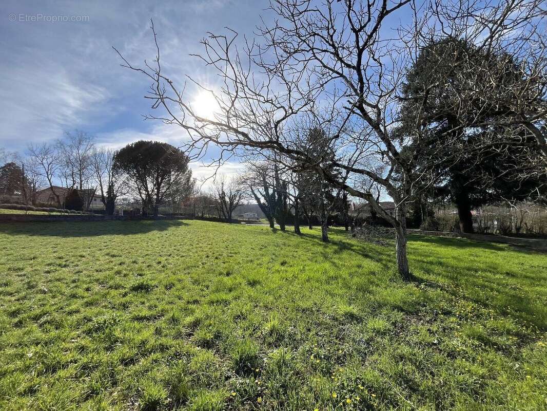 Terrain constructible - proche d'albi - photo 3