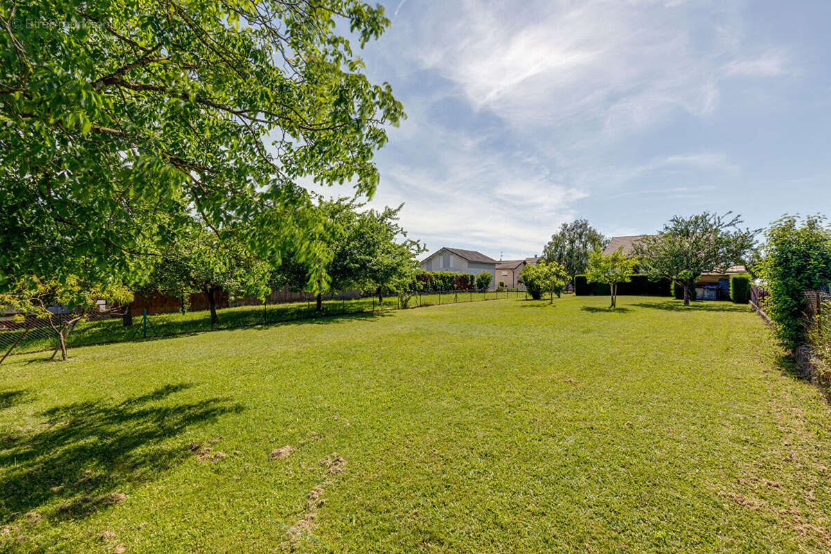 Maison Cranves Sales 4 pièces 86.18m² sur 1603m² de terrain - photo 14