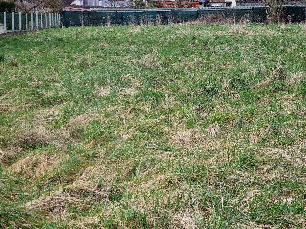 Terrain à SAINT-AUGUSTIN