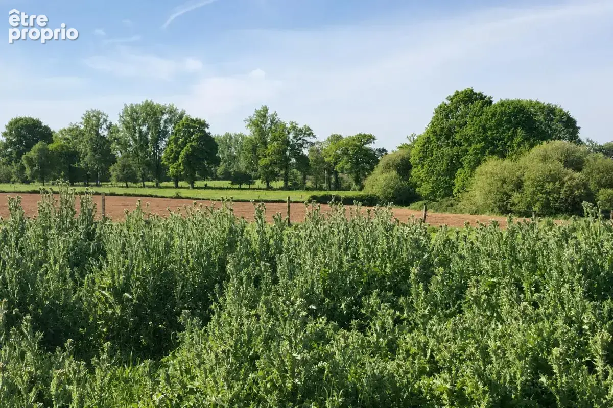 Maison 144m² à Saint-Fraimbault, calme et charme - photo 5