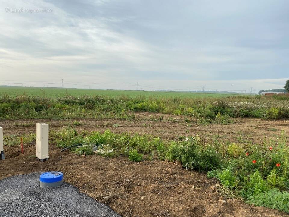 Terrain à LIEVIN
