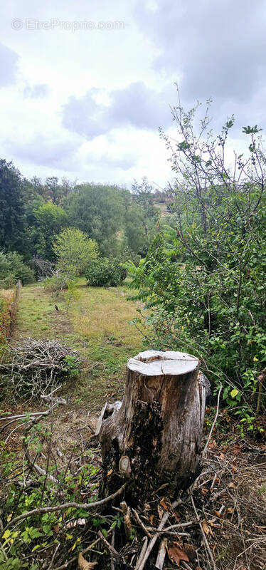 Terrain à BRIVE-LA-GAILLARDE