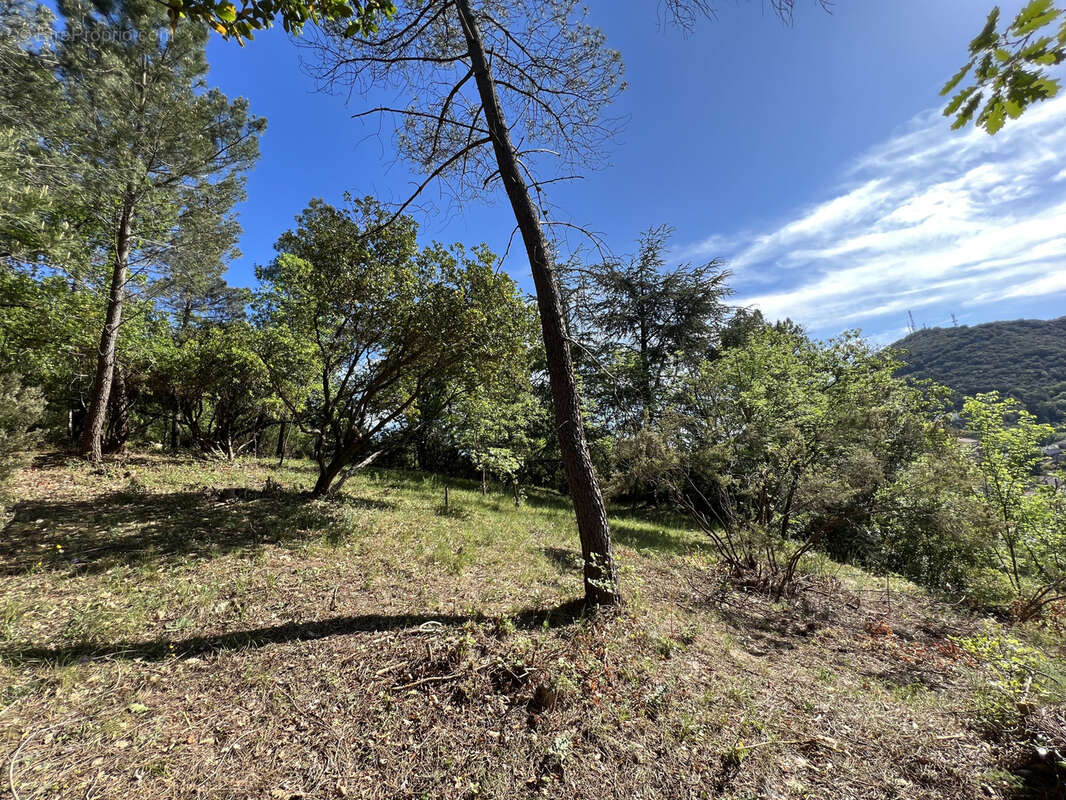 Terrain à SAINT-JEAN-DU-PIN