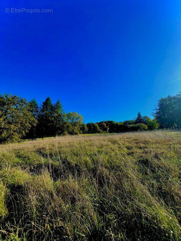 Terrain à SAINT-JEAN-DE-COLE