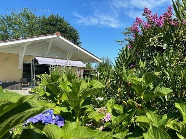 Maison à SAINTE-EULALIE-EN-BORN
