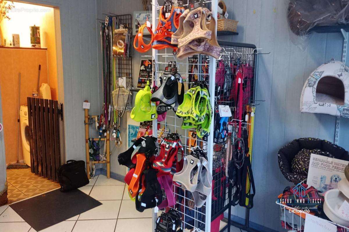 Commerce à CHATEAUNEUF-DU-FAOU