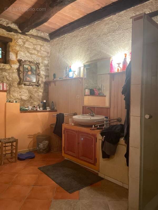 IMG_6911.jpeg - Maison à BEYNAC-ET-CAZENAC