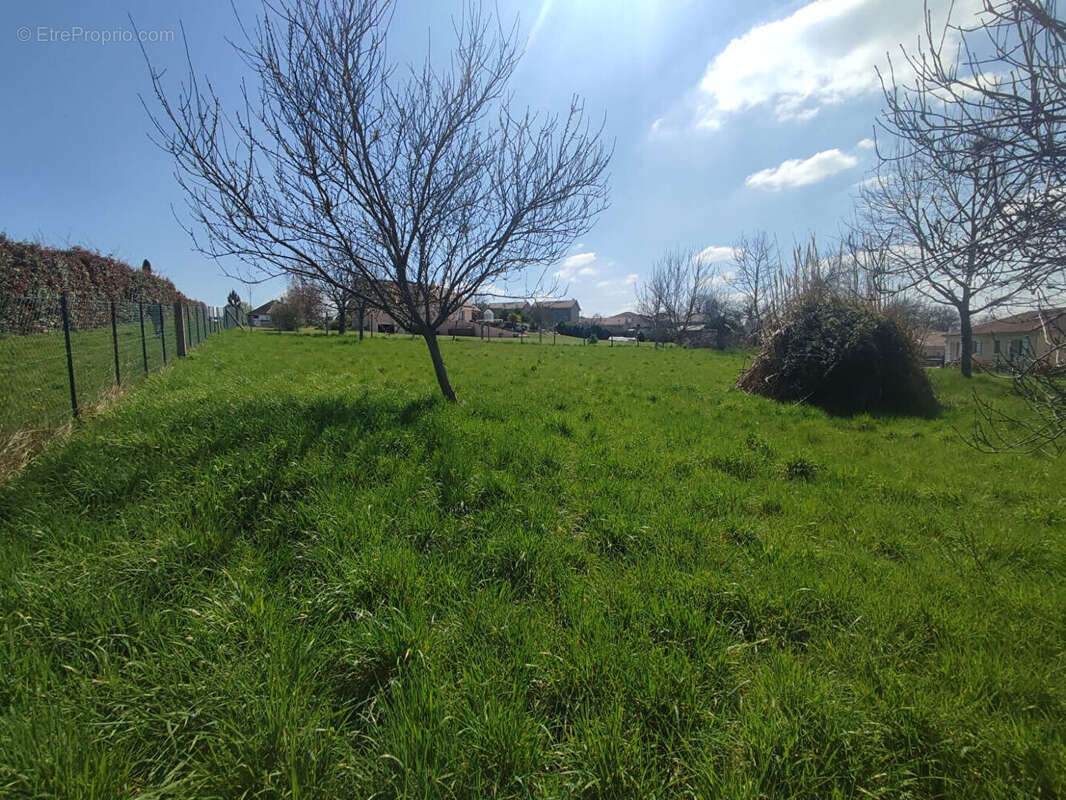 Terrain à BOSMIE-L'AIGUILLE