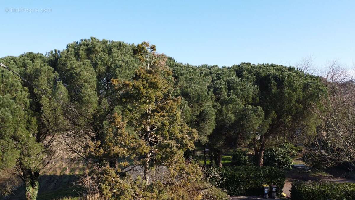 Maison à RABLAY-SUR-LAYON