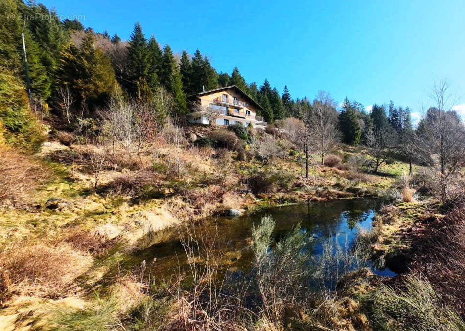 Grande maison 6 ch rénovée 5 min du Lac de Gérardmer - photo 3