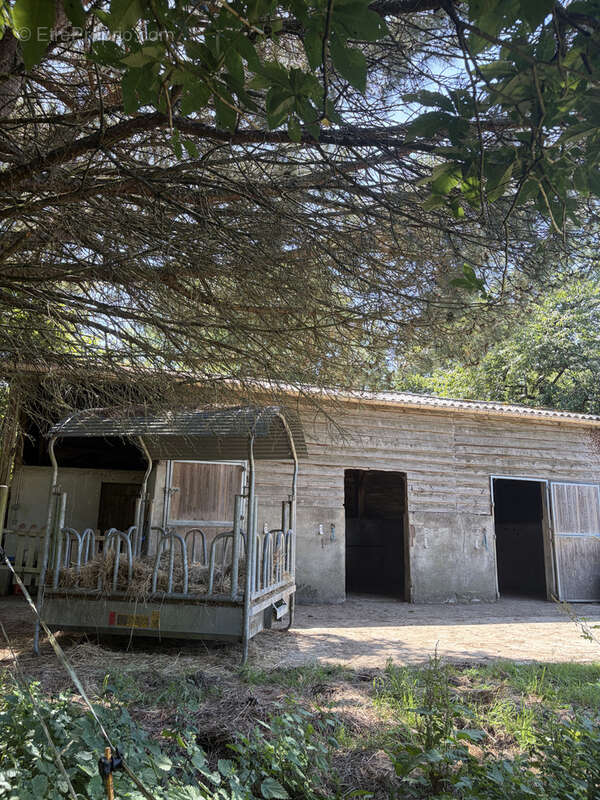 Maison à PALLUAU