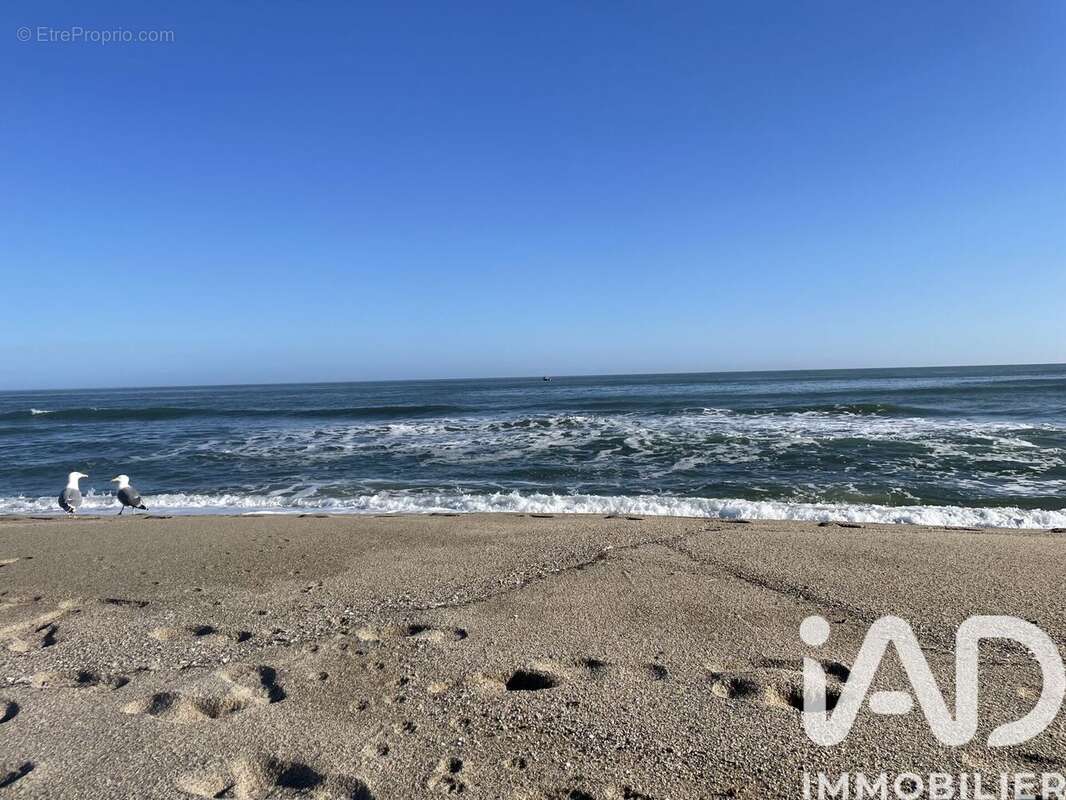 Photo 6 - Appartement à LEUCATE